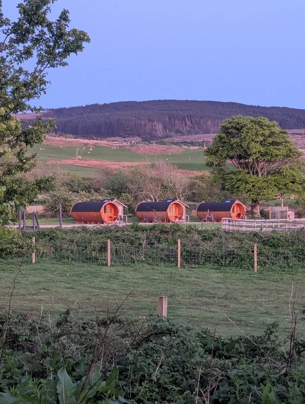 Balmichael Glamping — photo 4